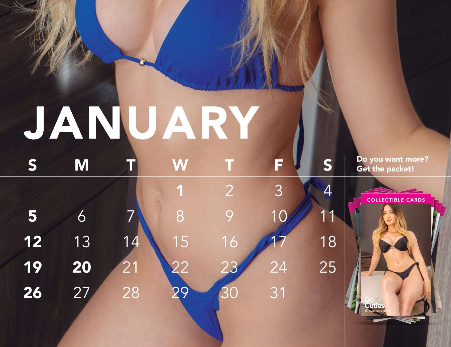 Go Cuties Collectible Celender: Sunny January. 2025